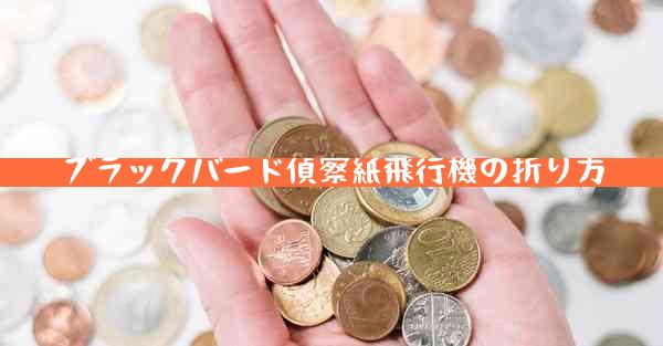 ブラックバード偵察紙飛行機の折り方