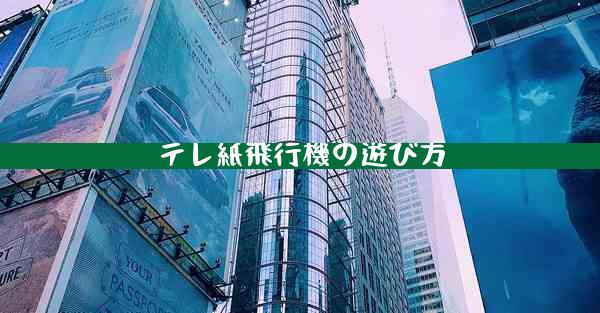 テレ紙飛行機の遊び方