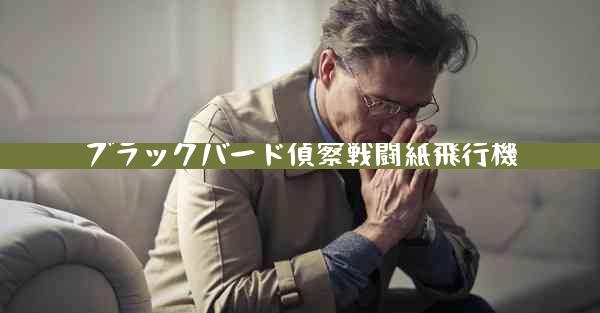 ブラックバード偵察戦闘紙飛行機