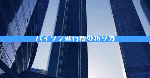 バイソン飛行機の折り方
