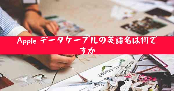 Apple データケーブルの英語名は何ですか