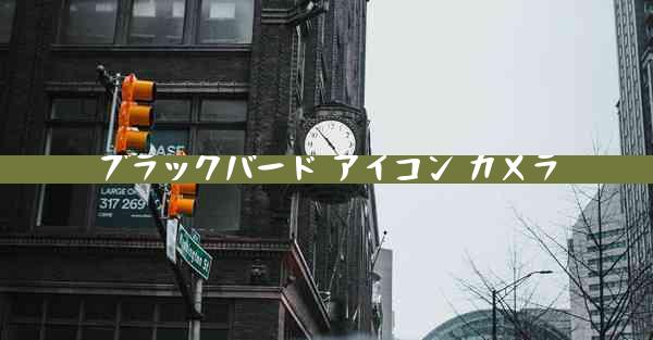 ブラックバード アイコン カメラ