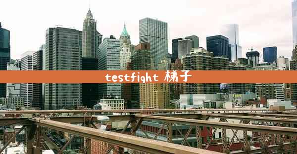 testfight 梯子