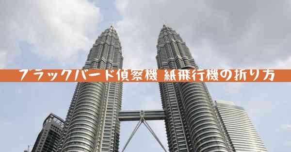 ブラックバード偵察機 紙飛行機の折り方