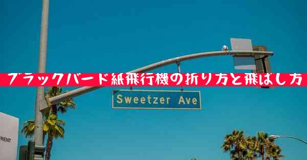 ブラックバード紙飛行機の折り方と飛ばし方