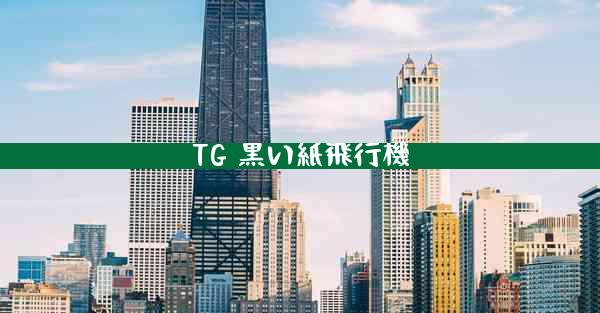TG 黒い紙飛行機