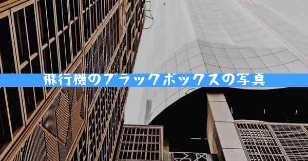 飛行機のブラックボックスの写真