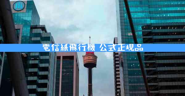 電信紙飛行機 公式正規品
