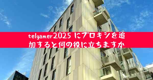 telgamer2025 にプロキシを追加すると何の役に立ちますか