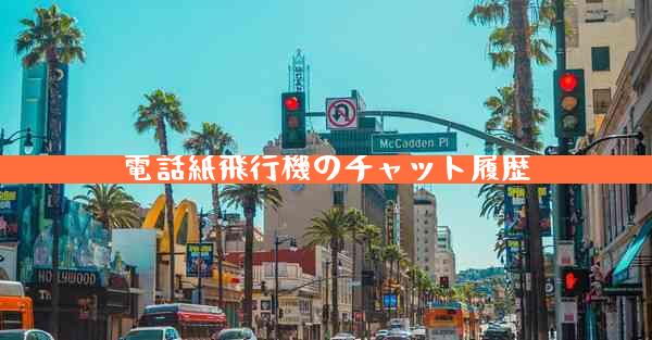 電話紙飛行機のチャット履歴