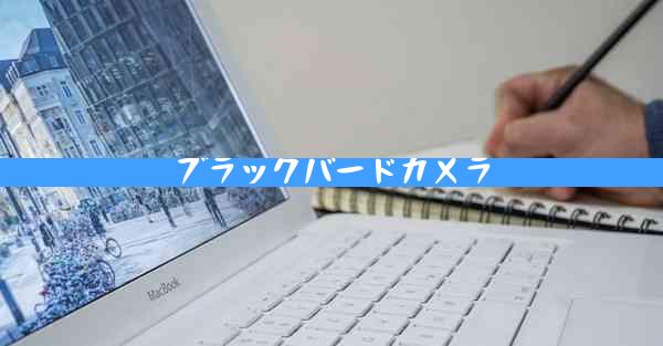 ブラックバードカメラ