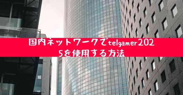 国内ネットワークでtelgamer2025を使用する方法