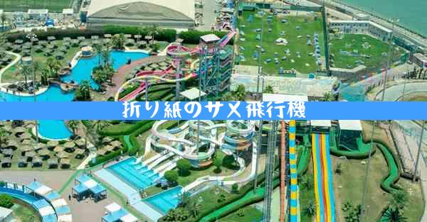 折り紙のサメ飛行機