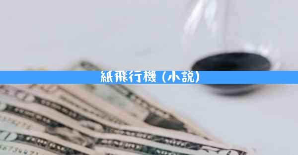 紙飛行機 (小説)