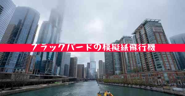 ブラックバードの模擬紙飛行機
