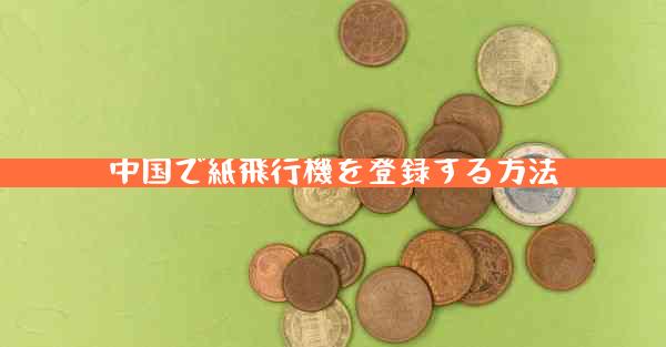 中国で紙飛行機を登録する方法