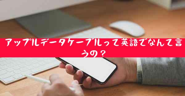 アップルデータケーブルって英語でなんて言うの？