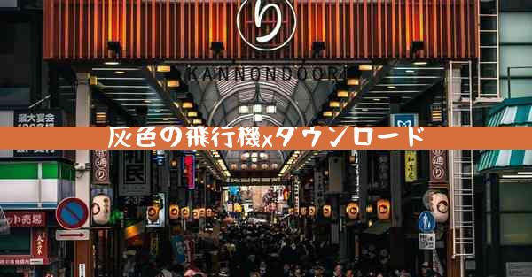 灰色の飛行機xダウンロード