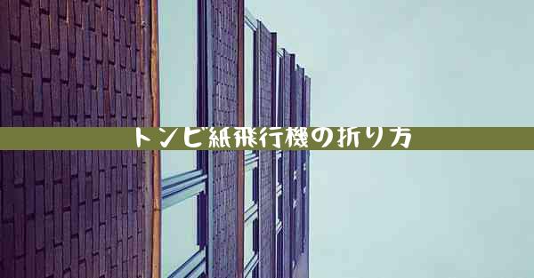トンビ紙飛行機の折り方
