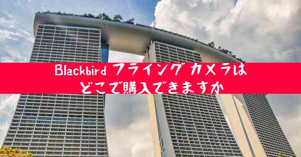 Blackbird フライング カメラはどこで購入できますか