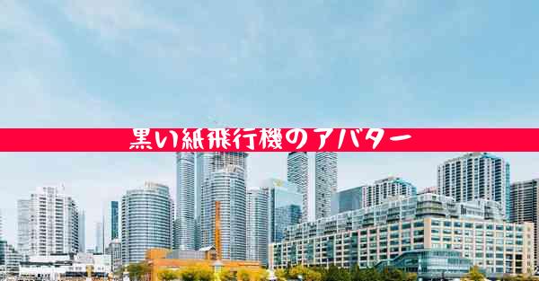 黒い紙飛行機のアバター