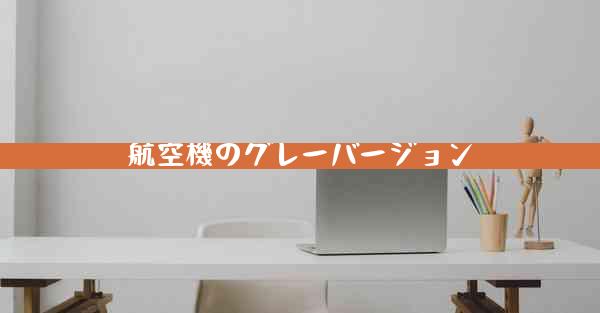 航空機のグレーバージョン