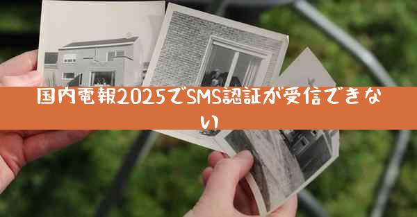国内電報2025でSMS認証が受信できない