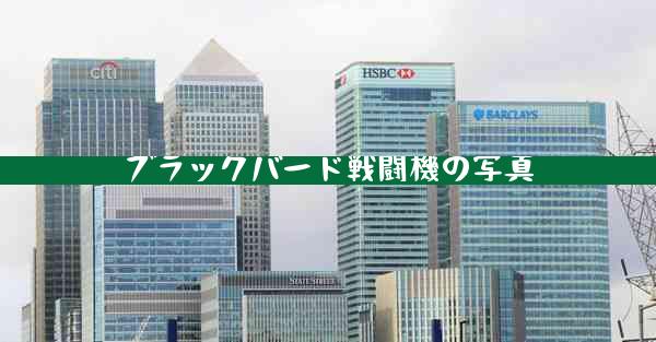 ブラックバード戦闘機の写真